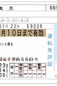 chinese inexperienced Girl576